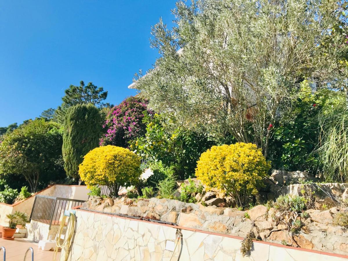 יורט דה מאר Mediterranean Villa Investingspain Sea View And Pool מראה חיצוני תמונה